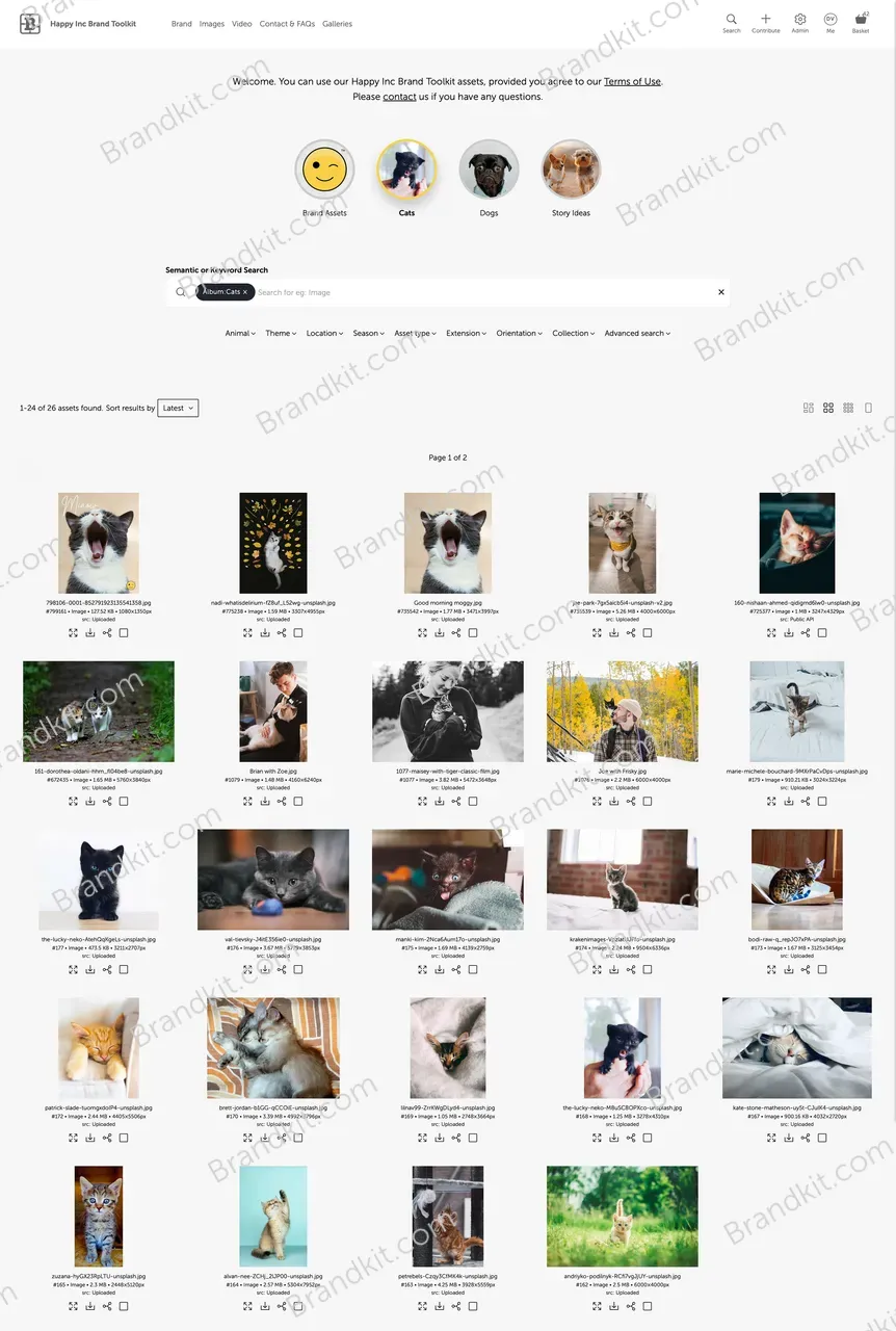 Happy-Inc-Brand-Toolkit-Demo-Home-Page-cropped