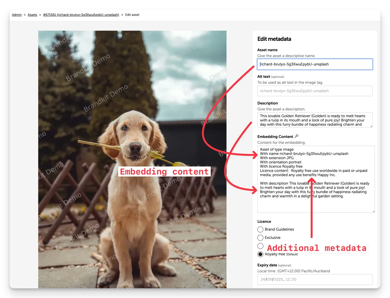 Brandkit Romantic Dog Embedding Content