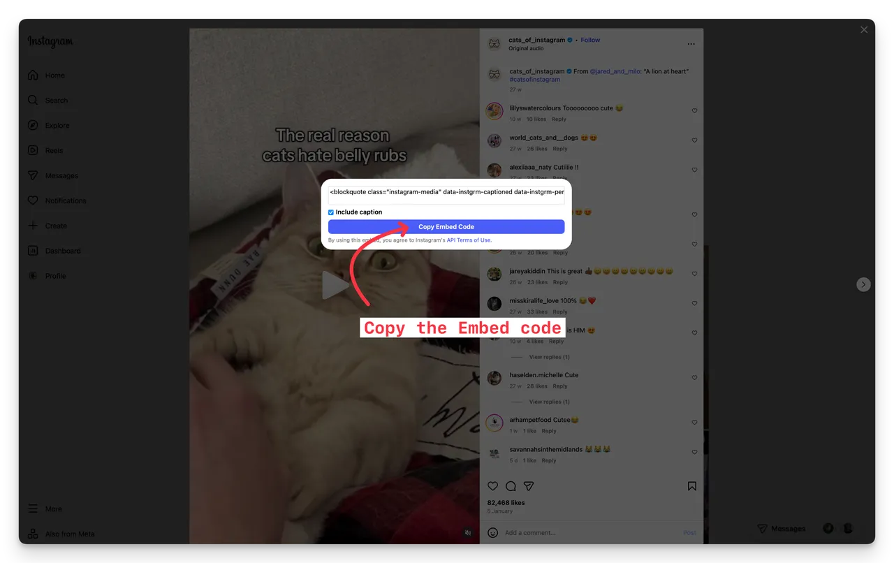 instagram-post-copy-embed-code