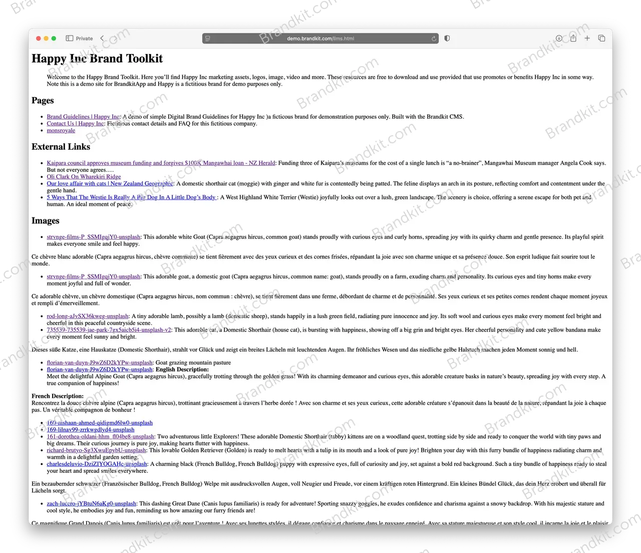demo-llms-dot-html@2x