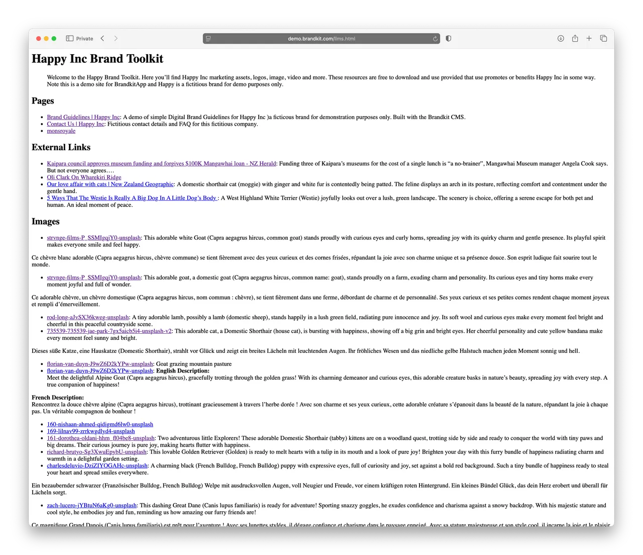 Screenshot of an llms.html page