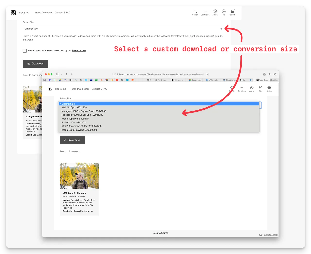bk2-download-with-conversion-page@2x