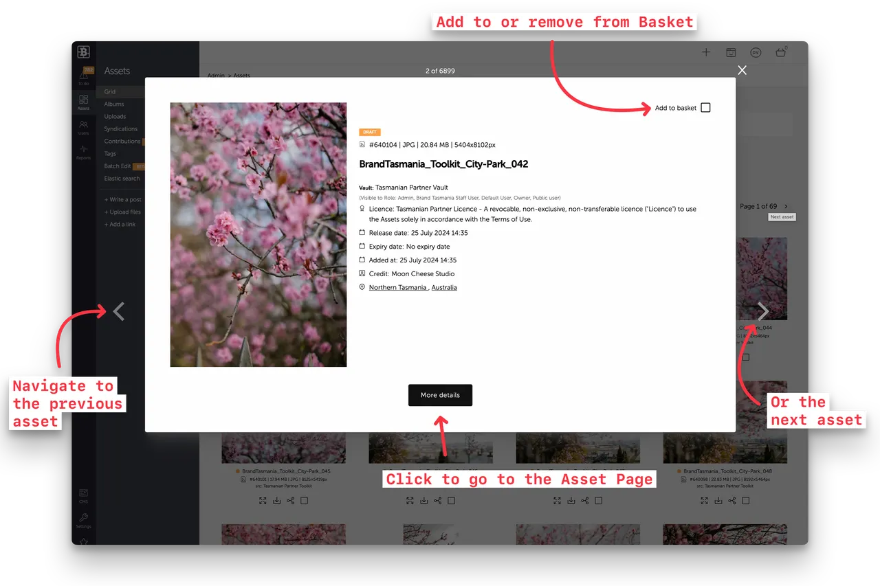 Brandkit HQ - Preview Modals are back, now with keyboard navigation