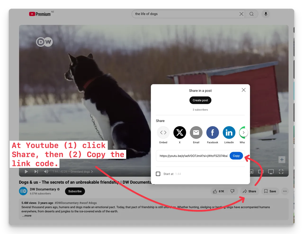 youtube-select-link-code