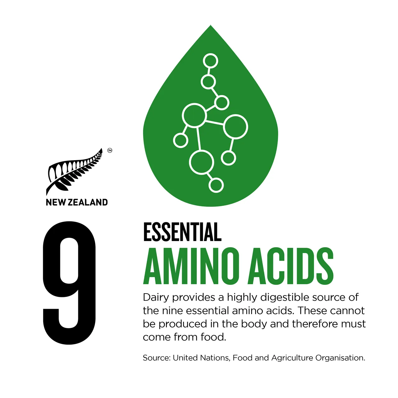 NZStory_Infographic_483486_Dairy Amino Acids_1x1