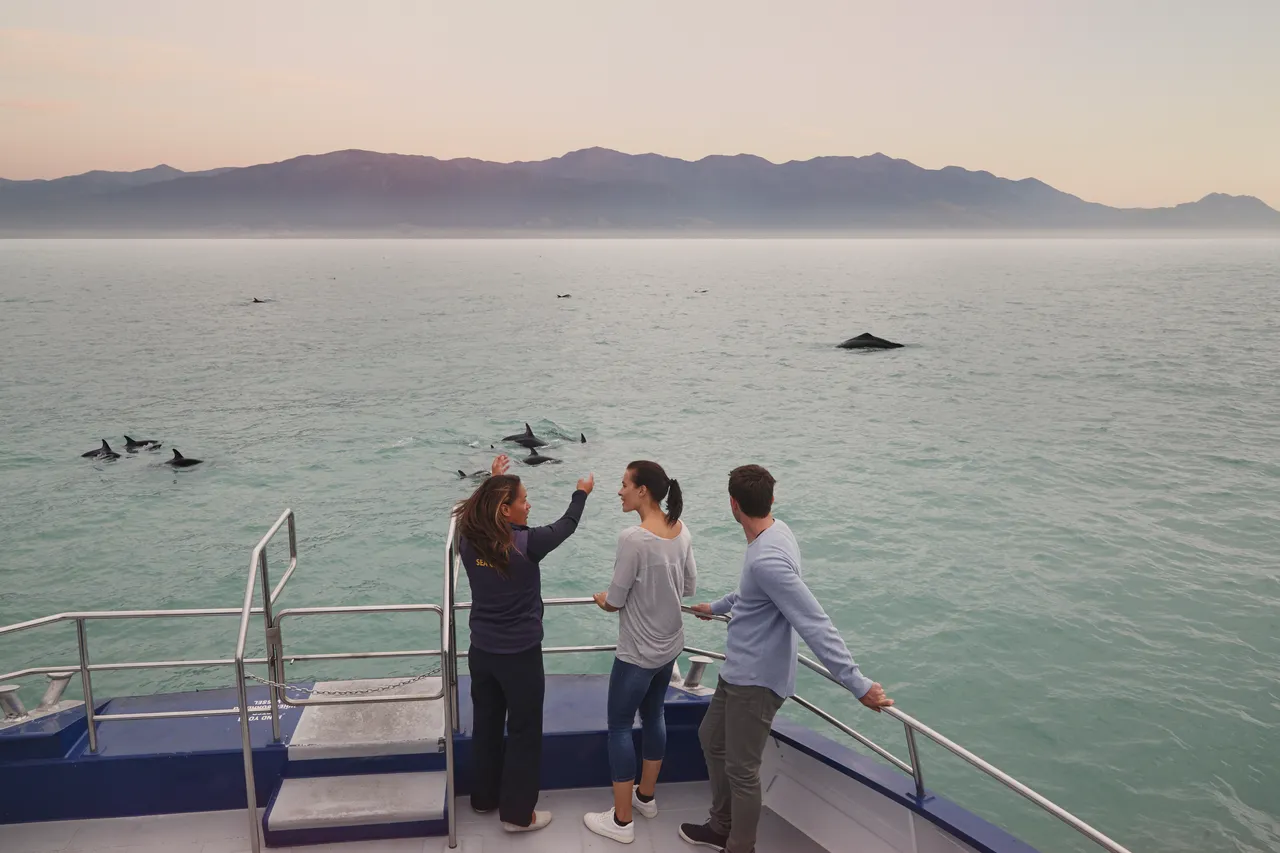 Whalewatch