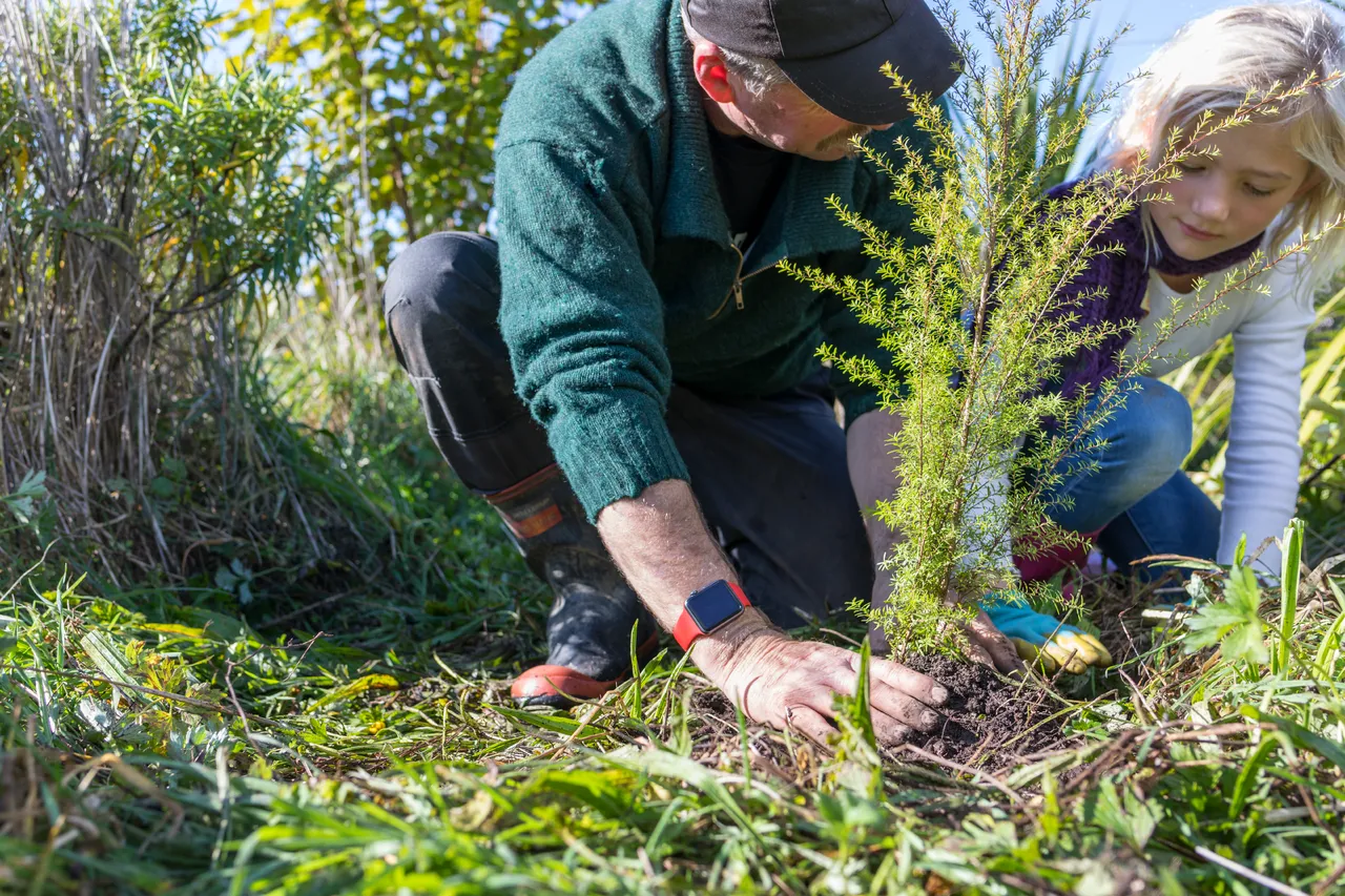 New Zealand Story Toolkit - Planting native trees on the farm