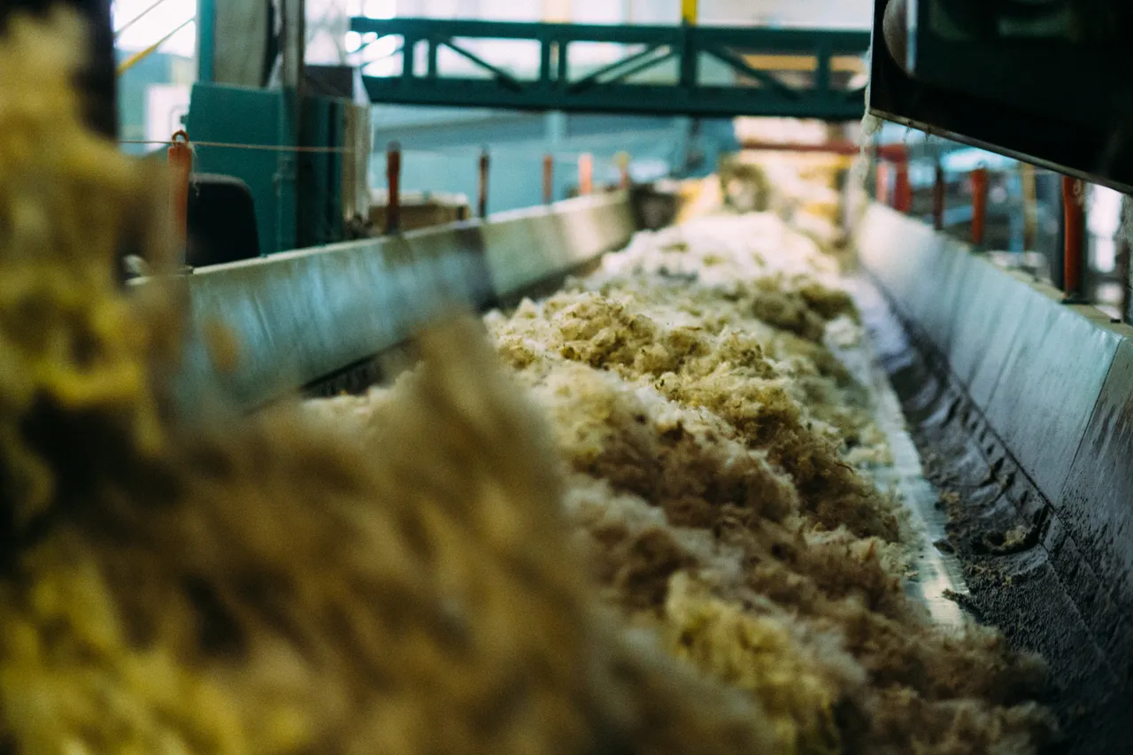 New Zealand Story Toolkit - Wool Processing