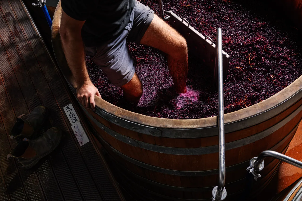 Crushing Grapes