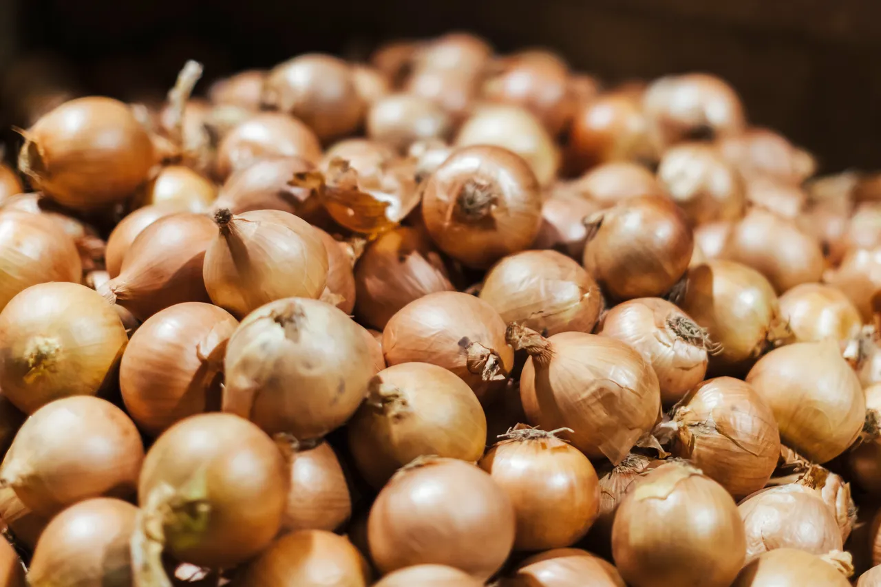 New Zealand Story Toolkit - Processing onions