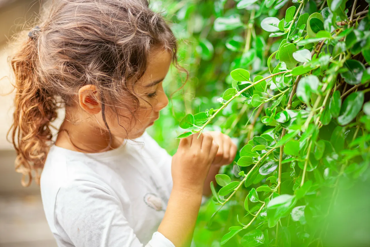 New Zealand Story Toolkit - Future generations