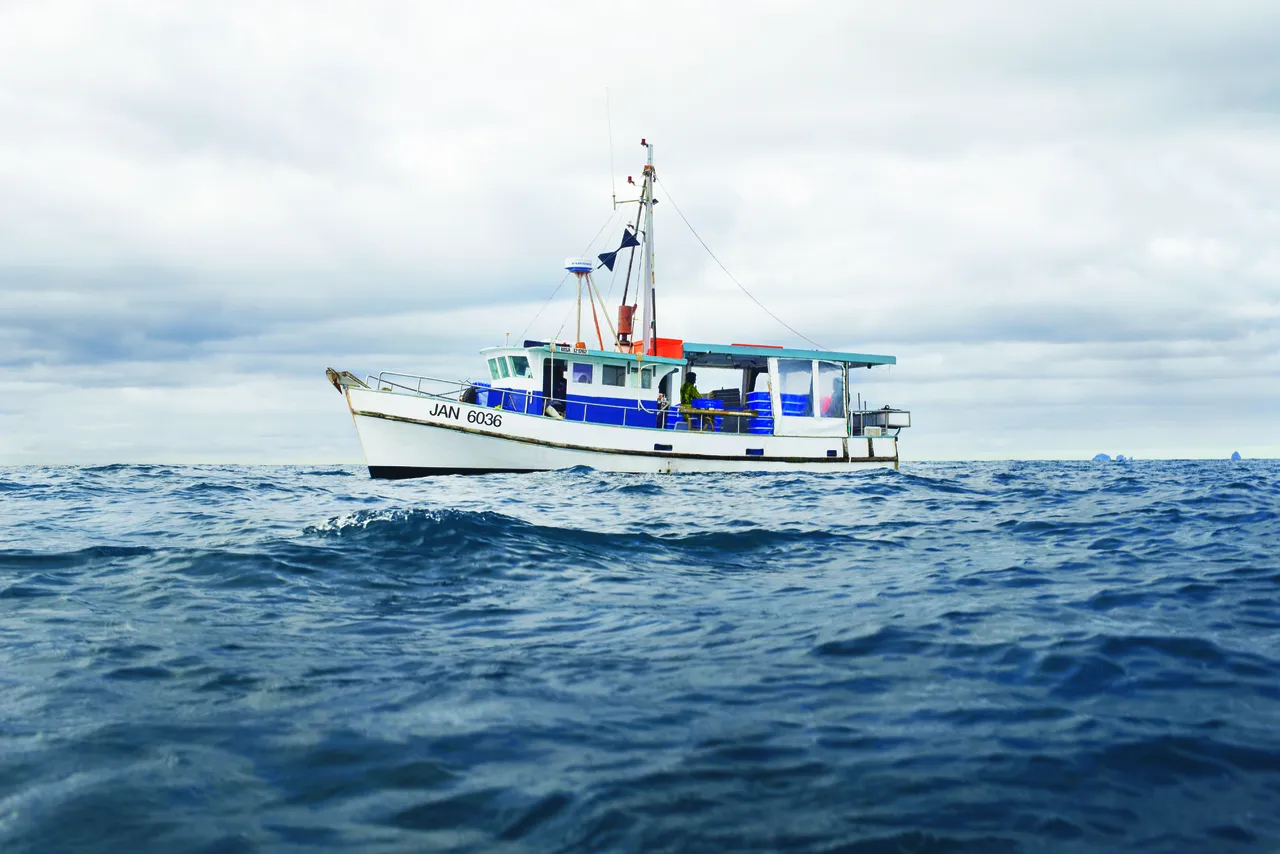 Fishing Boat