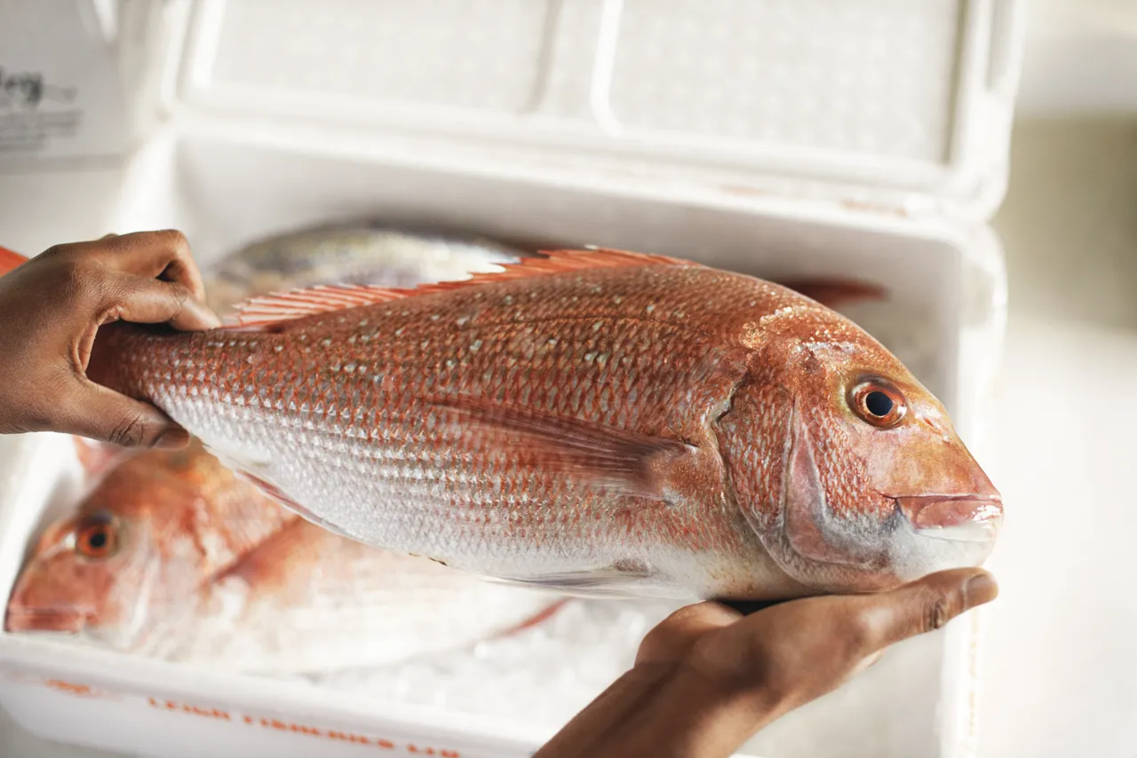 Snapper Delivered