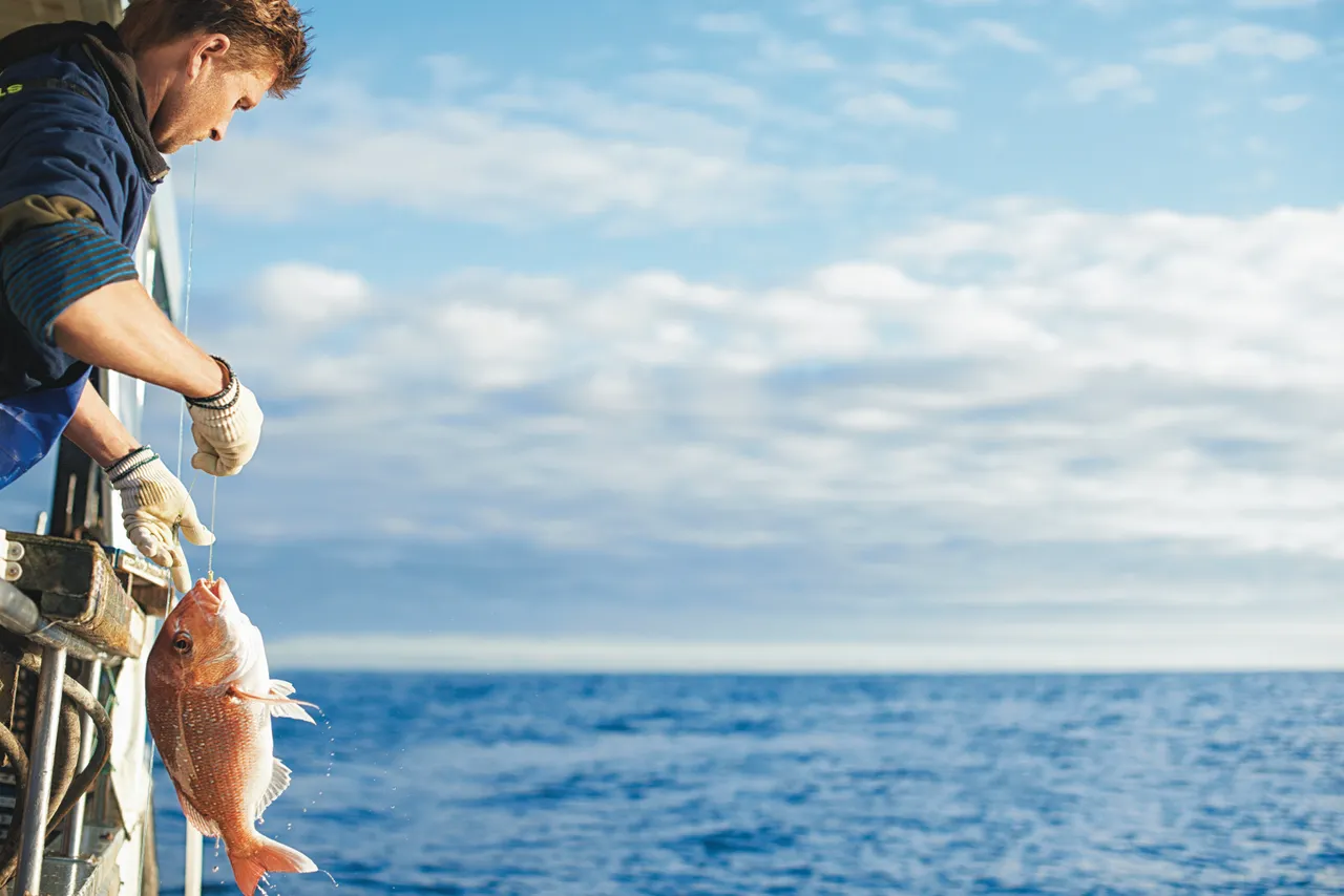 Landing the Long Line