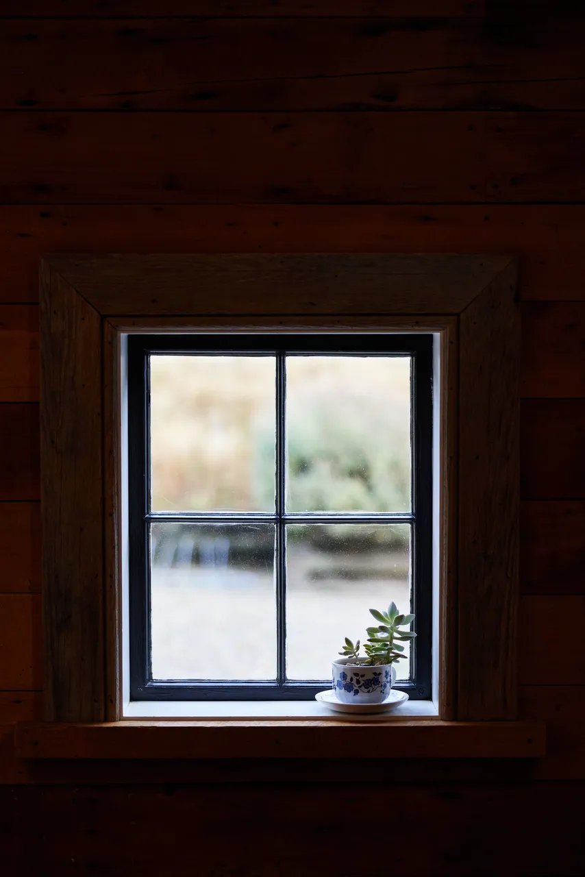 New Zealand Story Toolkit - Window View