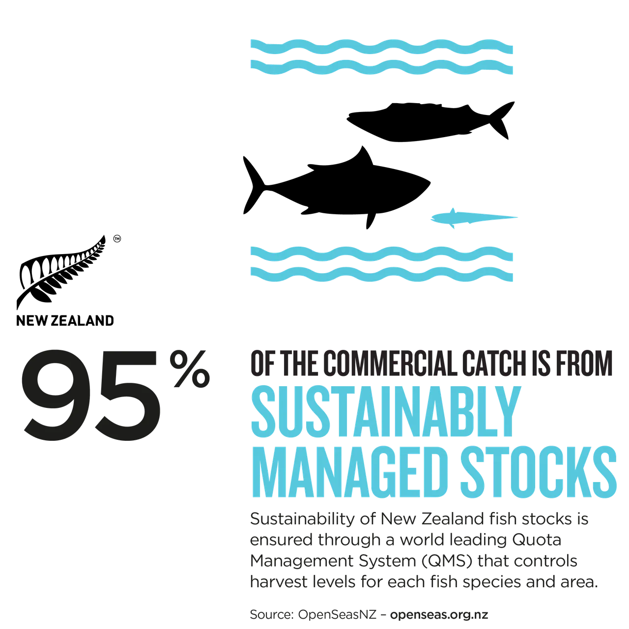 Sustainable Fish Stocks