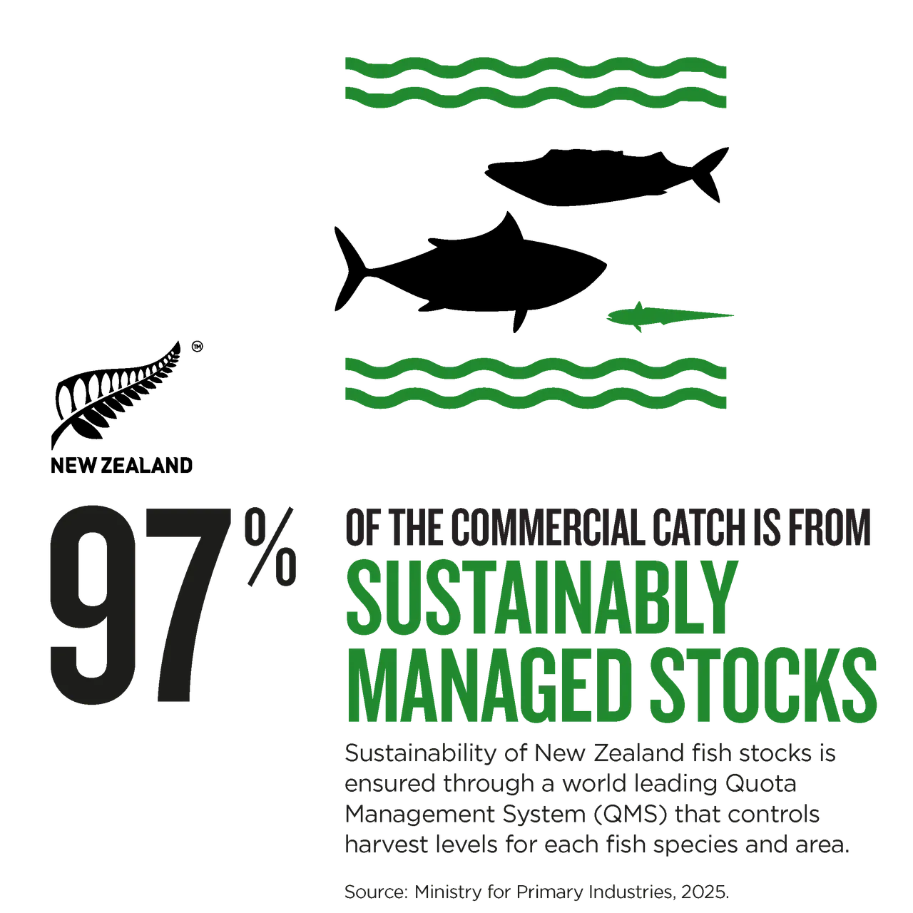 NZStory_Infographic_442426_Seafood Stocks_1x1