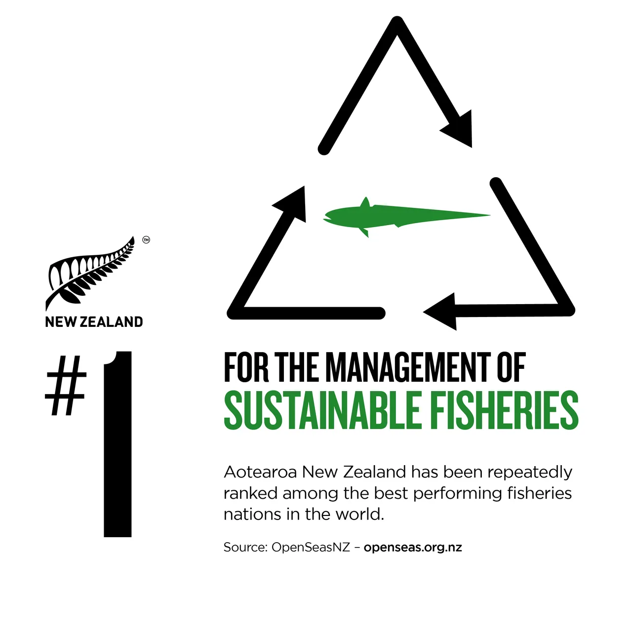 NZStory_Infographic_78174_SustainableFisheries_1x1