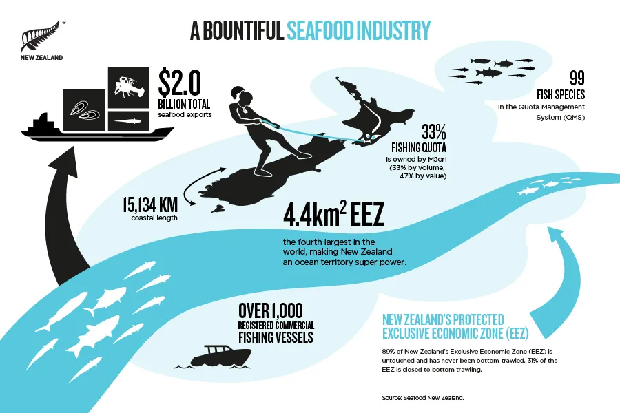 NZStory_Infographic_77495_Seafood_Summary