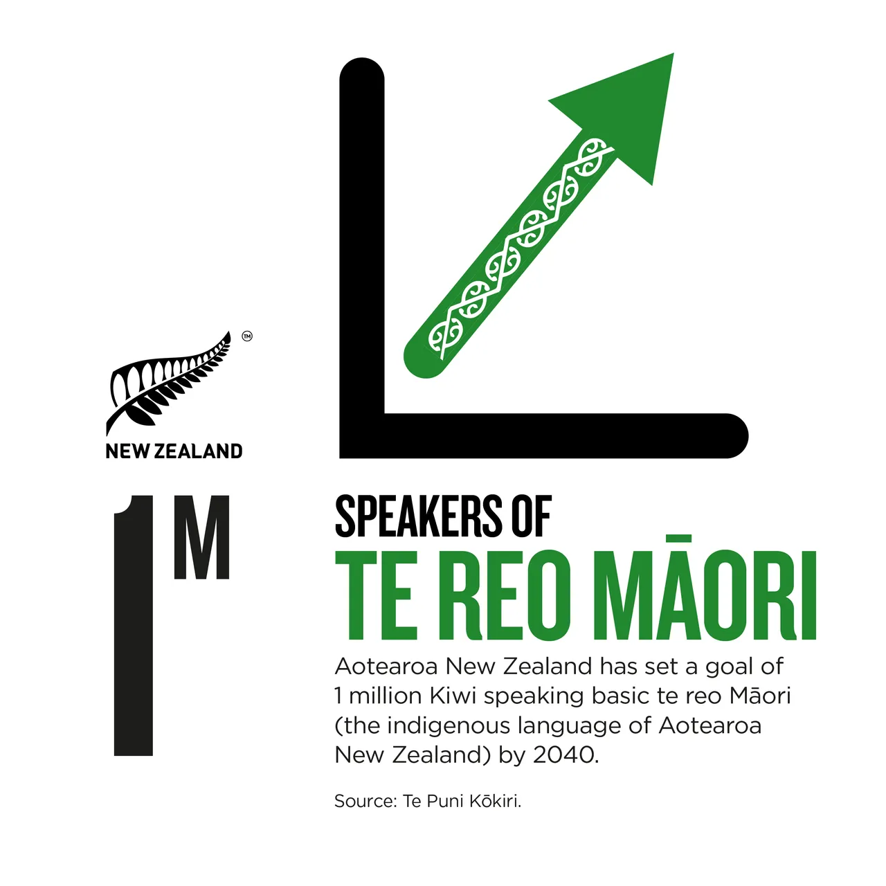 NZStory_Infographic_224347_Maori 1M Speakers_1x1