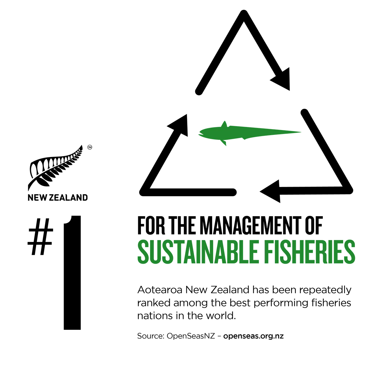 NZStory_Infographic_78174_SustainableFisheries_1x1