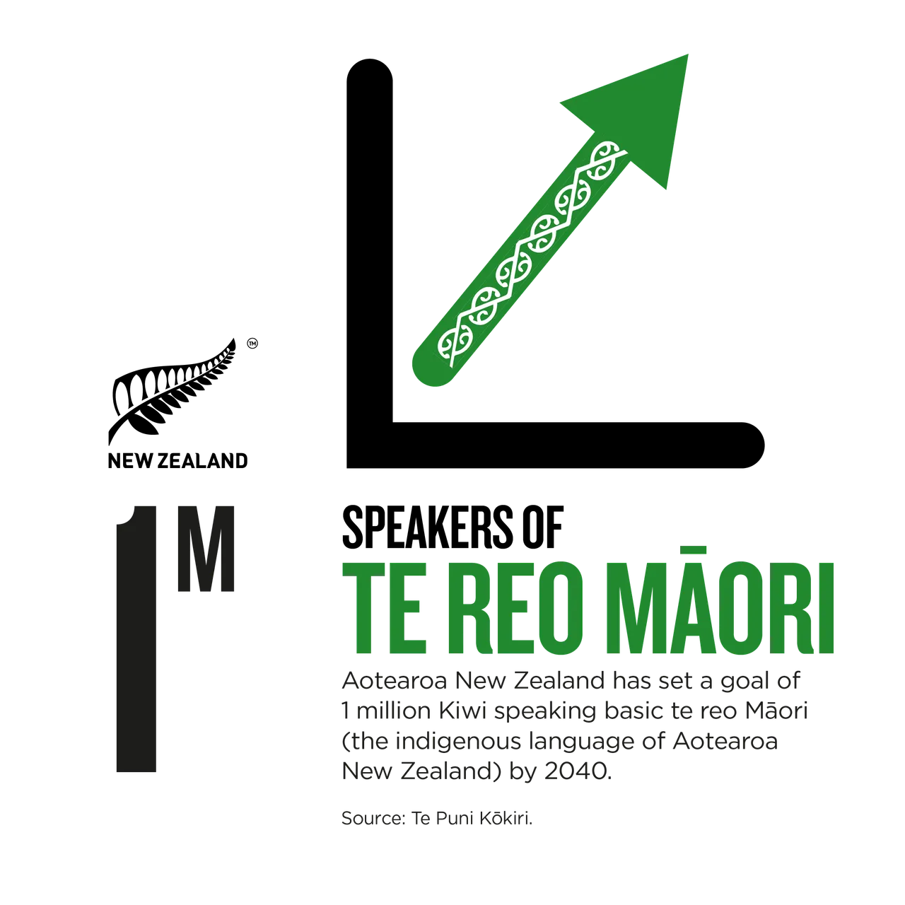 NZStory_Infographic_224347_Maori 1M Speakers_1x1