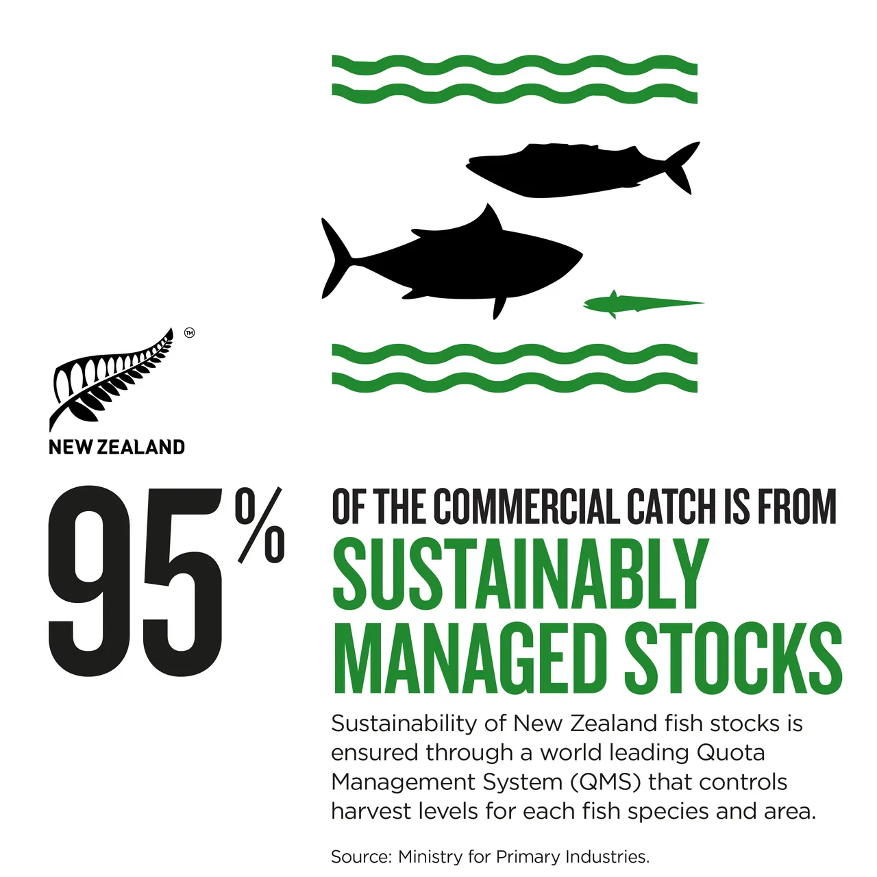 NZStory_Infographic_442426_Seafood Stocks