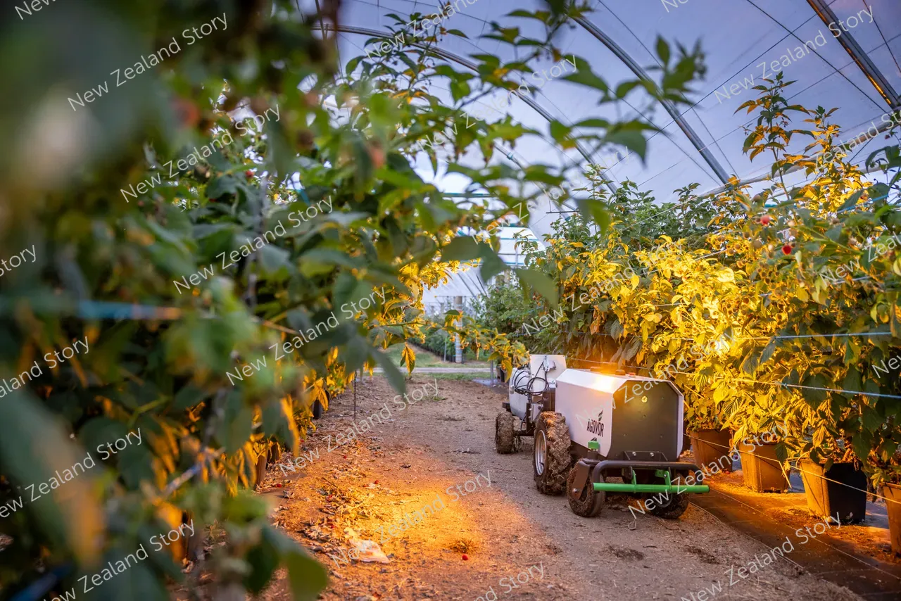 Agritech2025-Agovor-1011