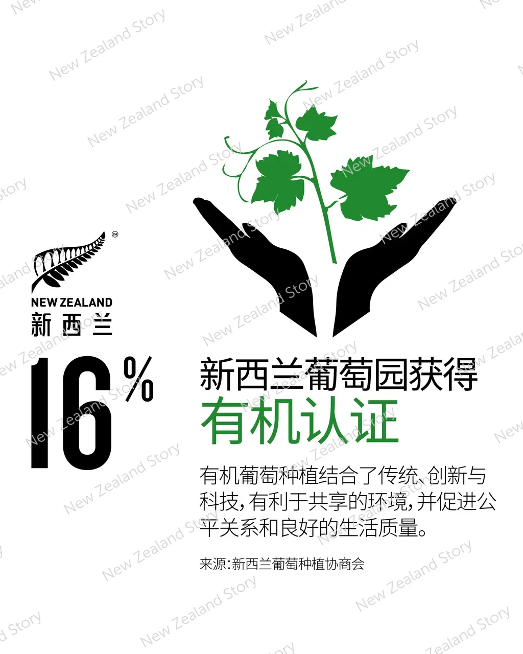 NZStory_Infographic_77864_OrganicWineArea_4x5_CHN