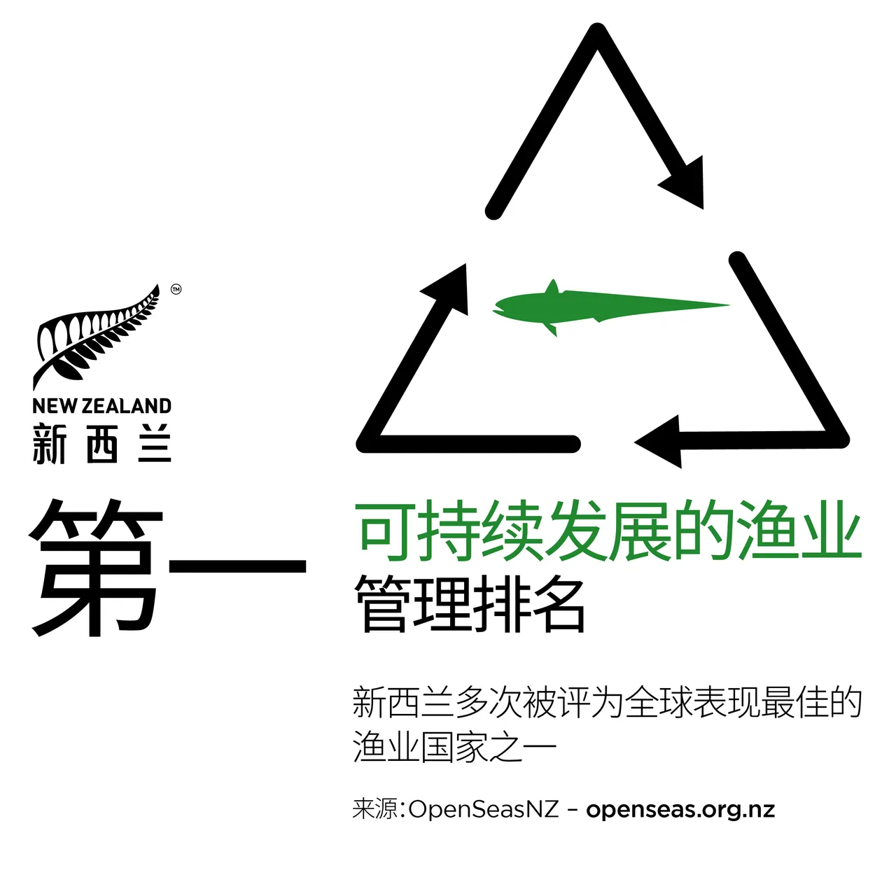 NZStory_Infographic_78174_SustainableFisheries_CHN_1x1