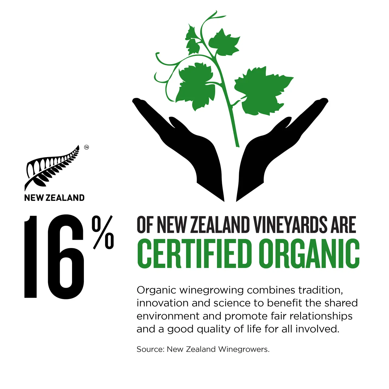 NZStory_Infographic_77864_OrganicWineArea_1x1