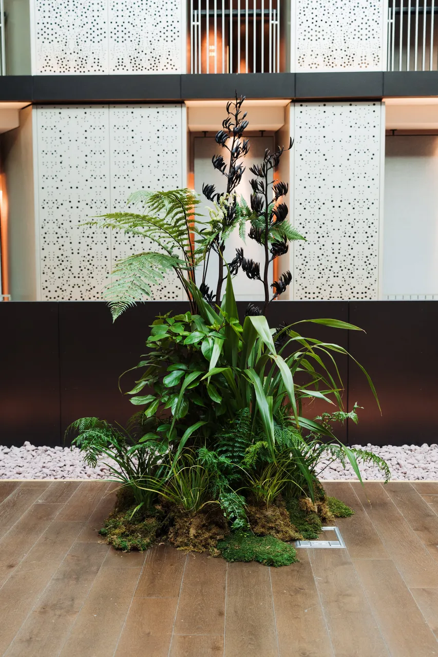 Native plants indoors