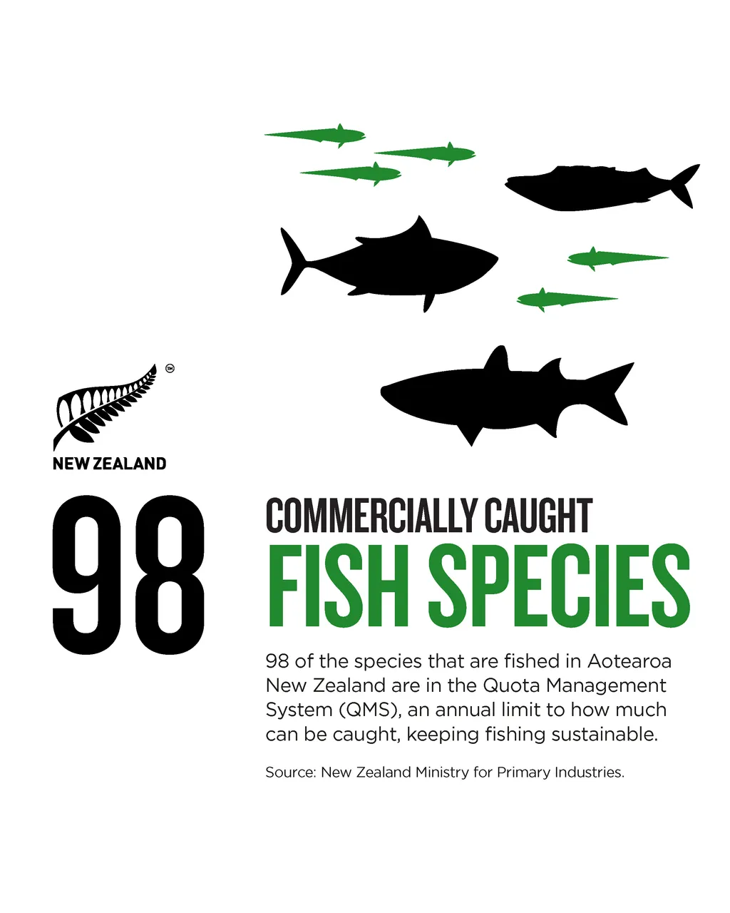 NZStory_Infographic_77431_Fish Species_4x5