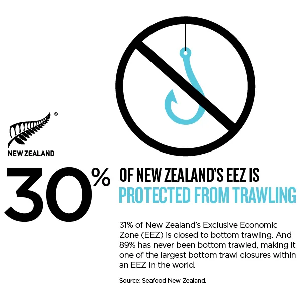 NZStory_Infographic_78172_ProtectedFishingGrounds