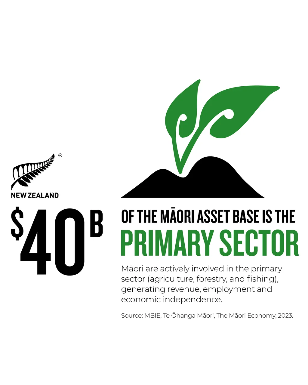 NZStory_Infographic_77602_Maori_Primary_Sector_4x5