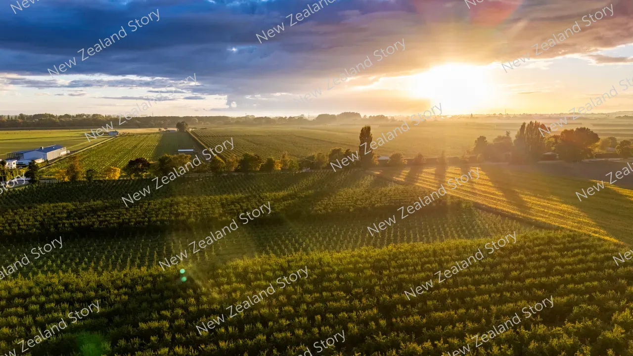 Agritech2025-Hastings-1029