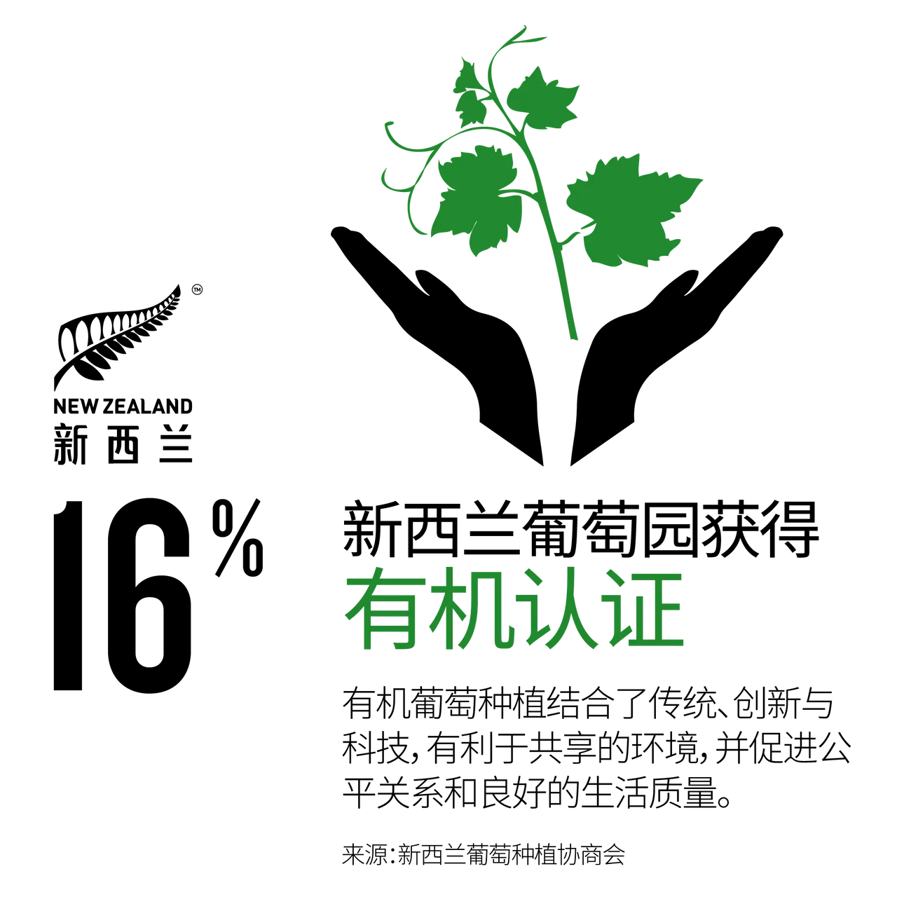 NZStory_Infographic_77864_OrganicWineArea_CHN_1x1