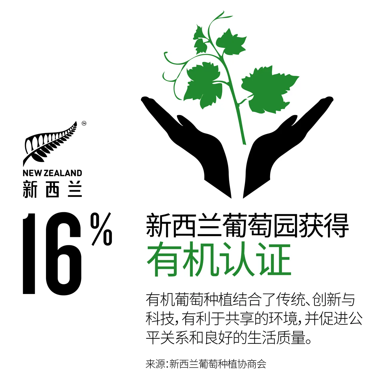 NZStory_Infographic_77864_OrganicWineArea_CHN_1x1