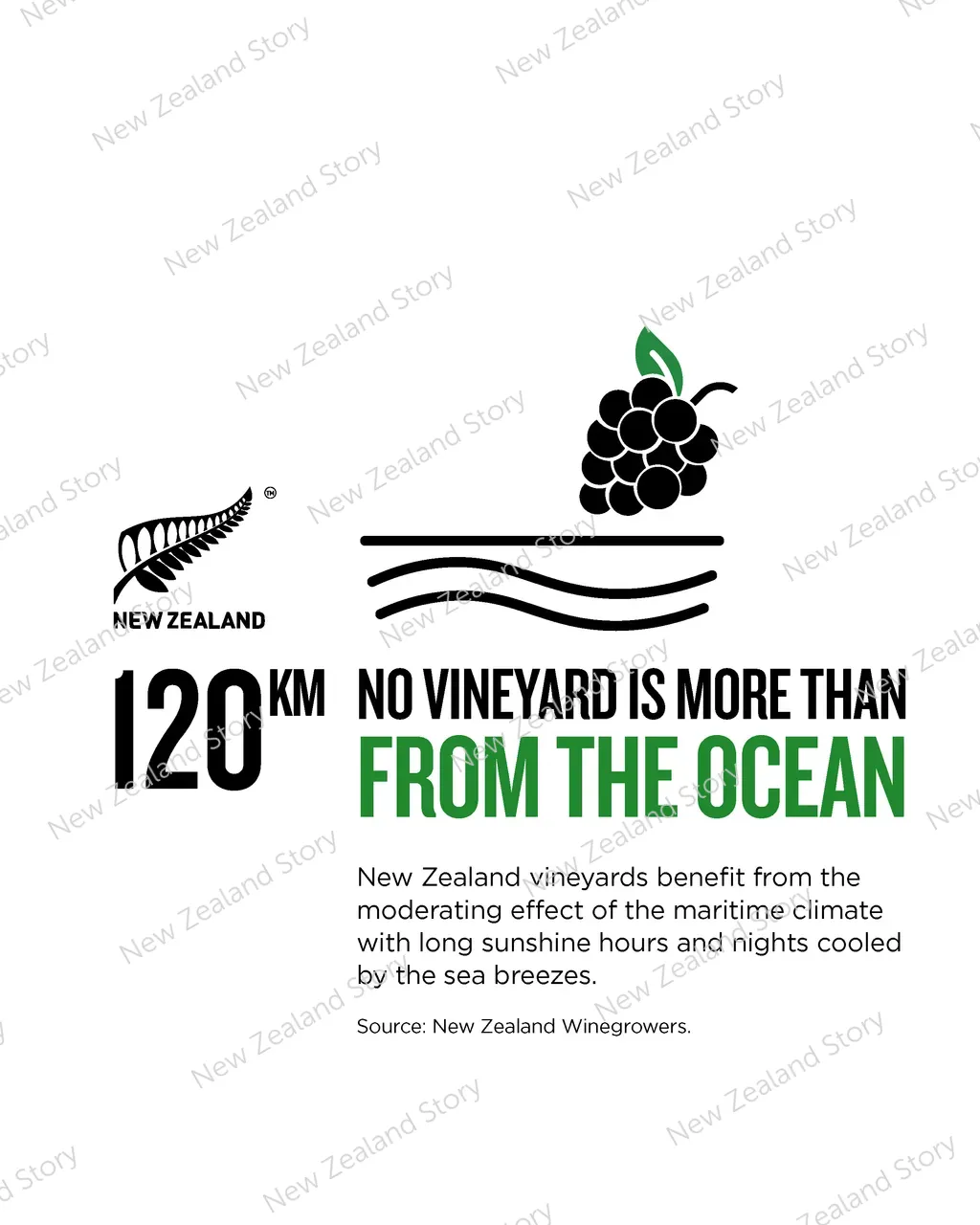 NZStory_Infographic_MWC_WineMaritimeInfluence_4x5