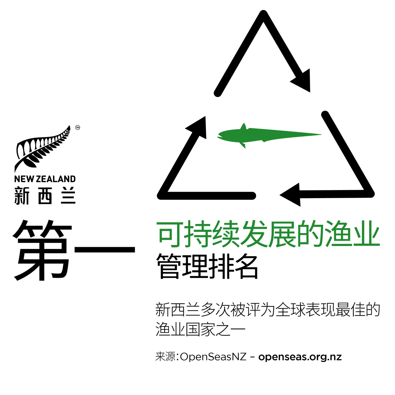 NZStory_Infographic_78174_SustainableFisheries_CHN_1x1