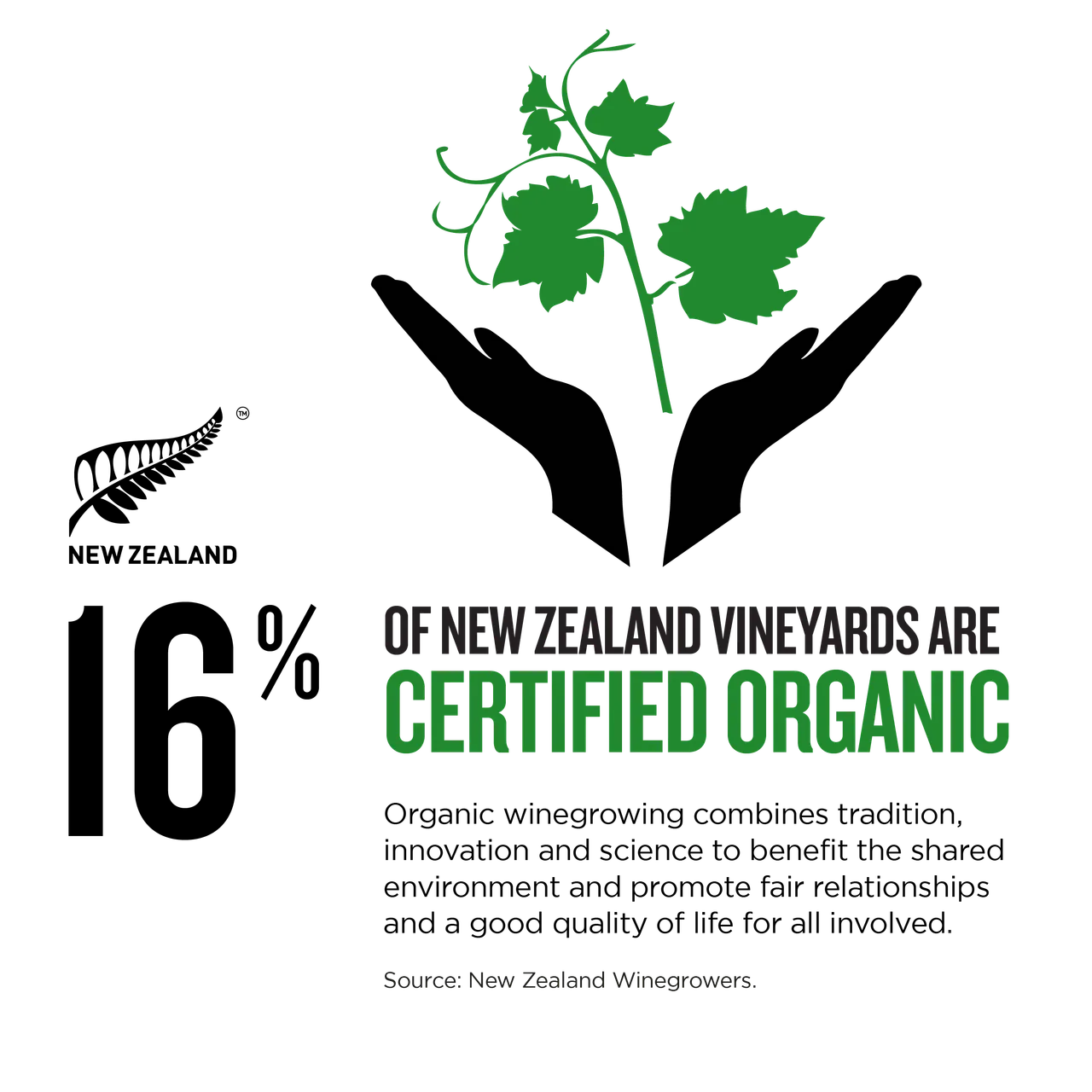 NZStory_Infographic_77864_OrganicWineArea_1x1