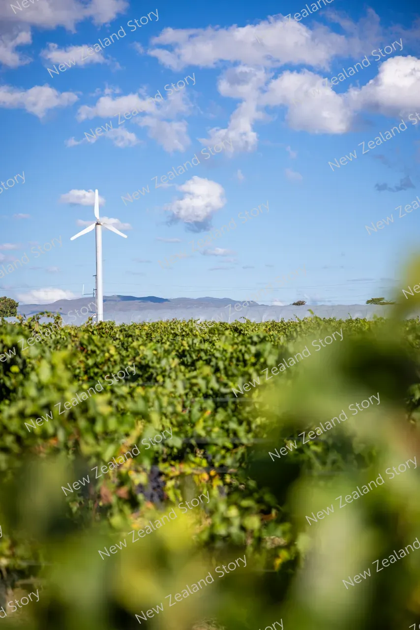 Agritech2025-Croptide-vineyard-3039