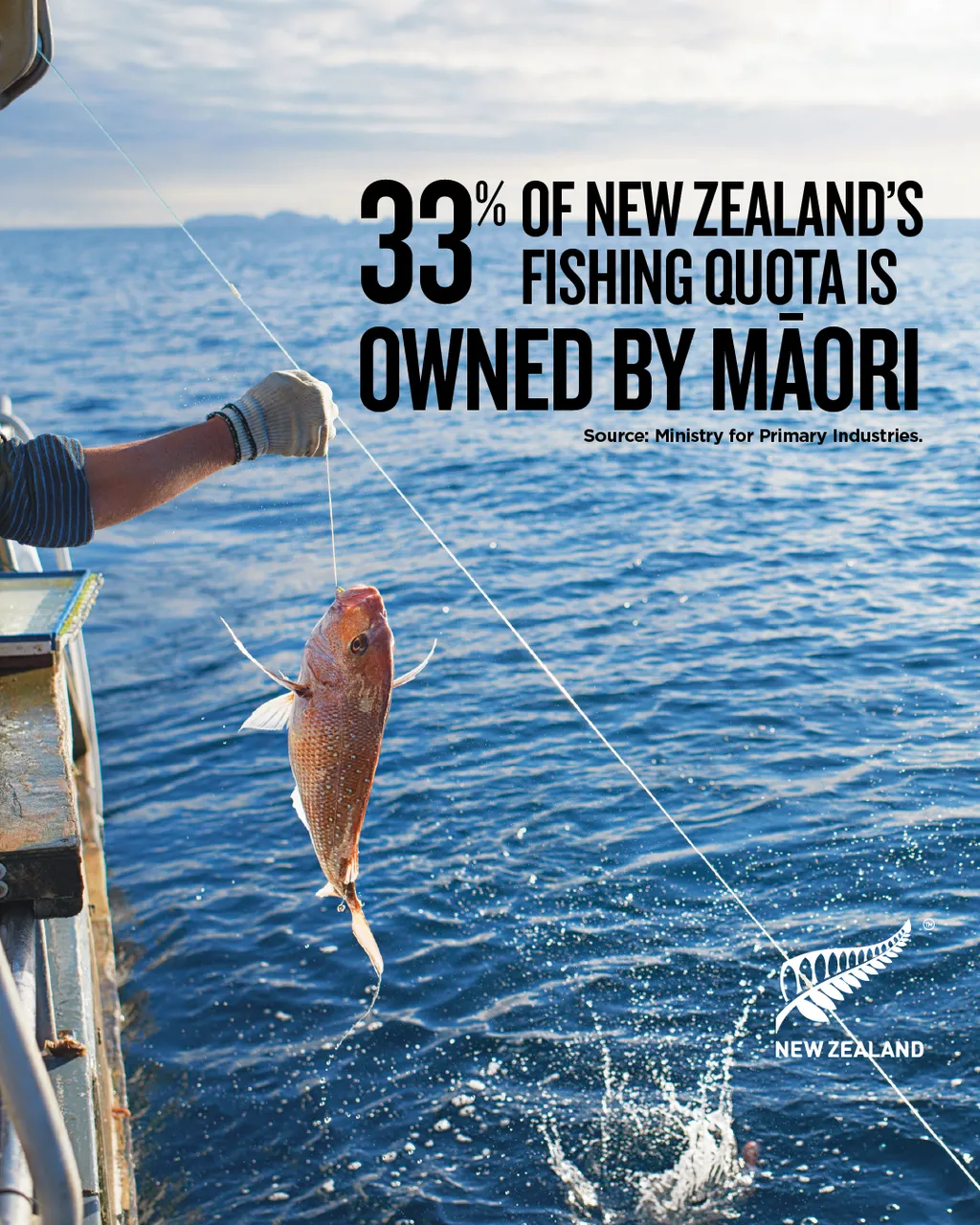 NZStory_Infographic_Māori Fishing Quota 4x5