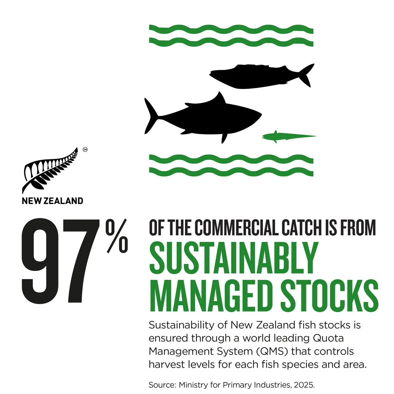 NZStory_Infographic_442426_Seafood Stocks_1x1