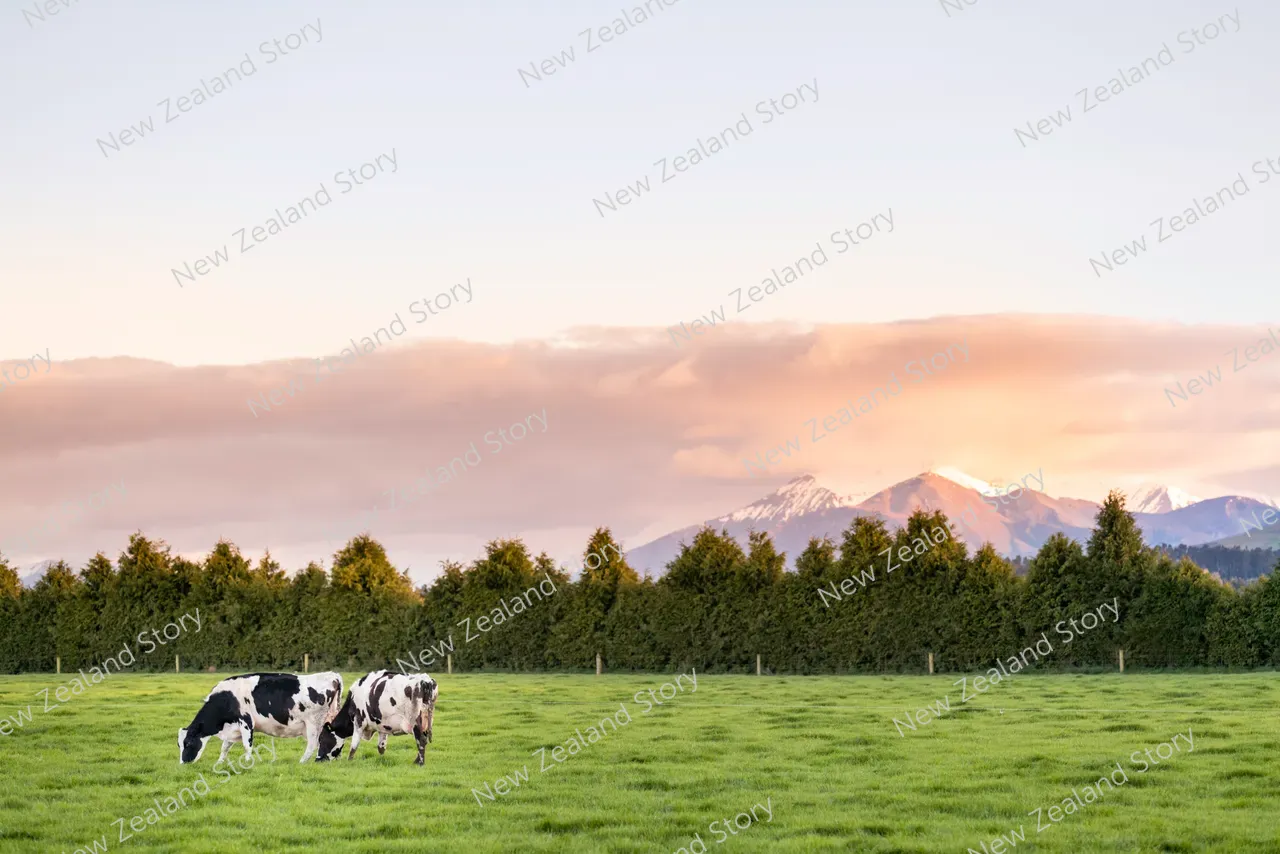 NZ Story_FON_018_Methven_0044