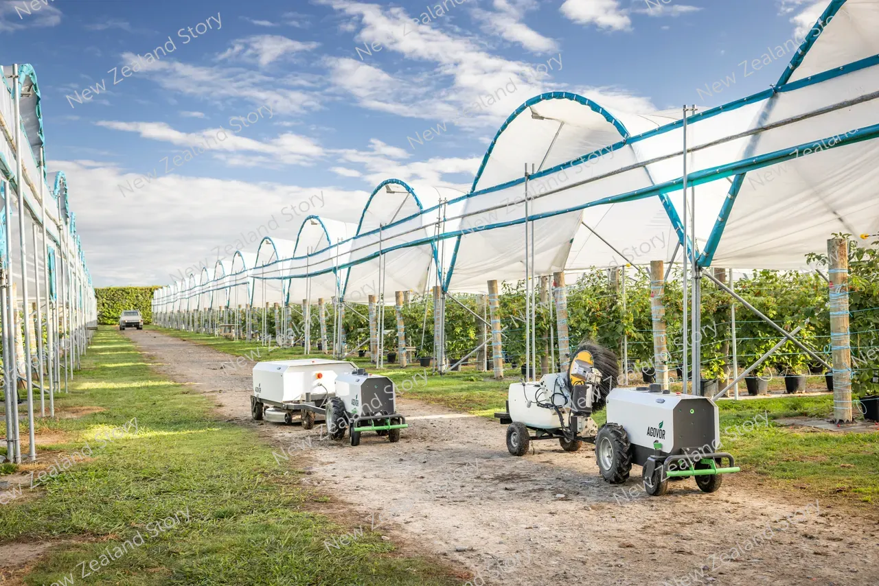 Agritech2025-Agovor-1046