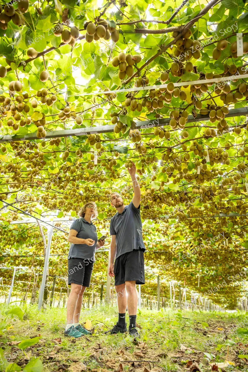 Agritech2025-Croptide-vines-1047