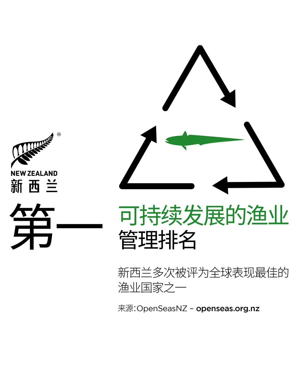 NZStory_Infographic_78174_SustainableFisheries_4x5_CHN