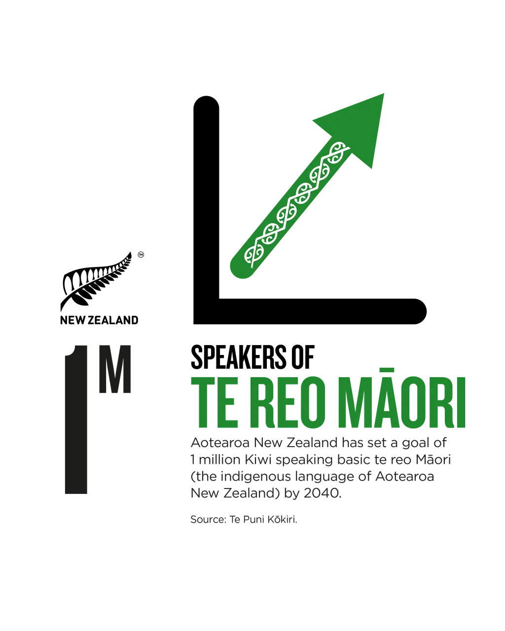 NZStory_Infographic_224347_Maori 1M Speakers_4x5