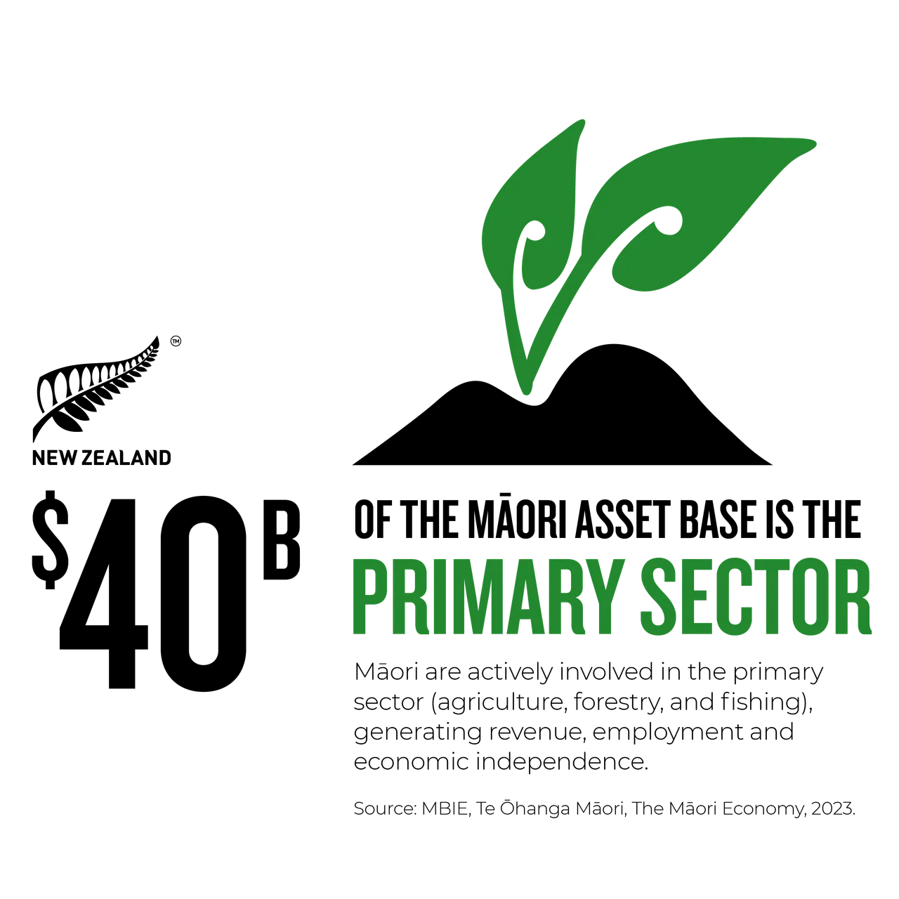 NZStory_Infographic_77602_Maori_Primary_Sector_1x1